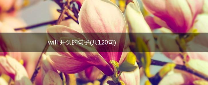 will 开头的句子(共120句),第1张