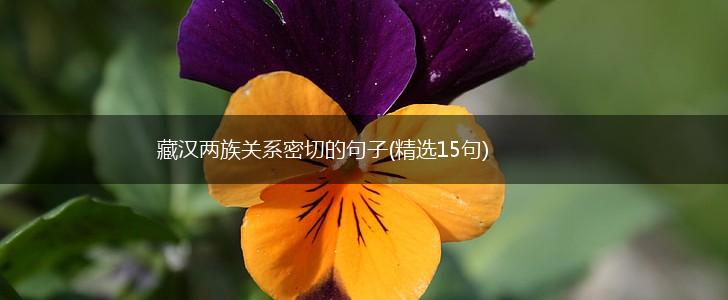 藏汉两族关系密切的句子(精选15句),第1张
