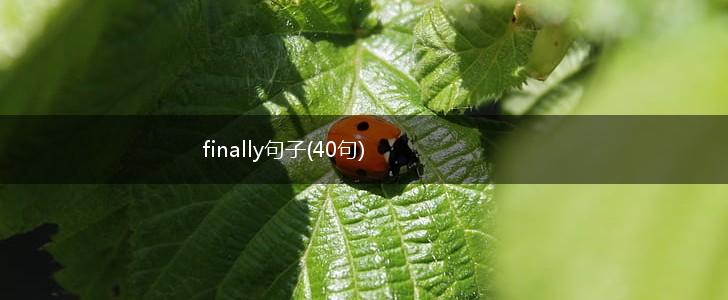 finally句子(40句),第1张