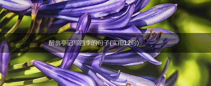 醉翁亭记写四季的句子(实用12句),第1张