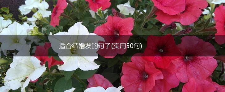 适合结婚发的句子(实用50句),第1张