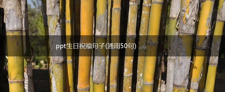 ppt生日祝福句子(通用50句),第1张