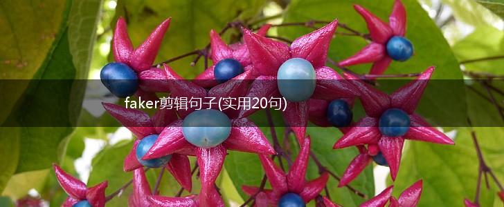 faker剪辑句子(实用20句),第1张