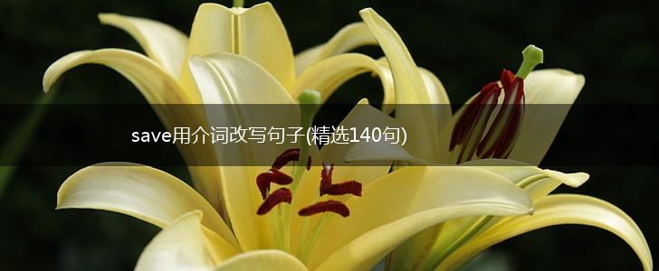 save用介词改写句子(精选140句),第1张