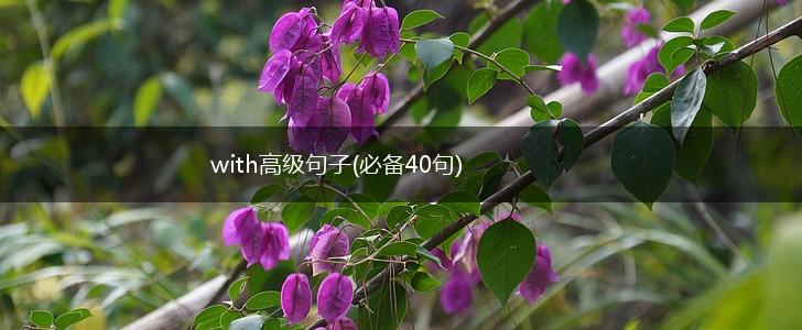 with高级句子(必备40句),第1张