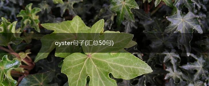 oyster句子(汇总50句),第1张