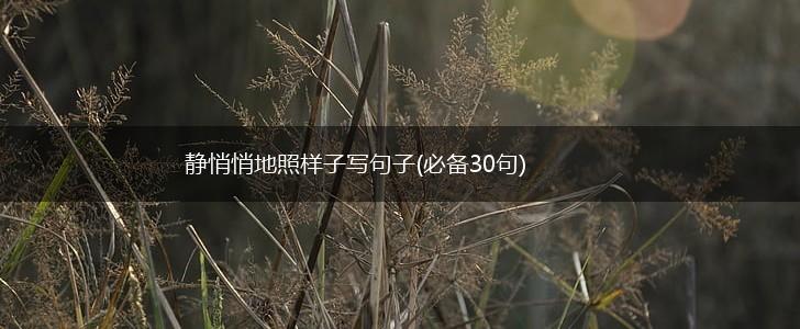 静悄悄地照样子写句子(必备30句),第1张