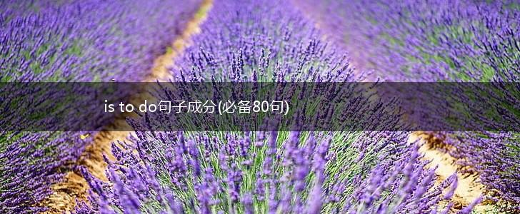 is to do句子成分(必备80句),第1张