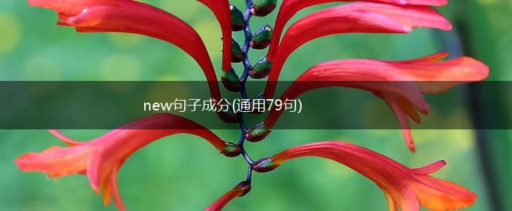 new句子成分(通用79句),第1张