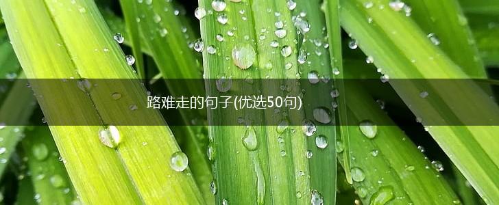 路难走的句子(优选50句),第1张