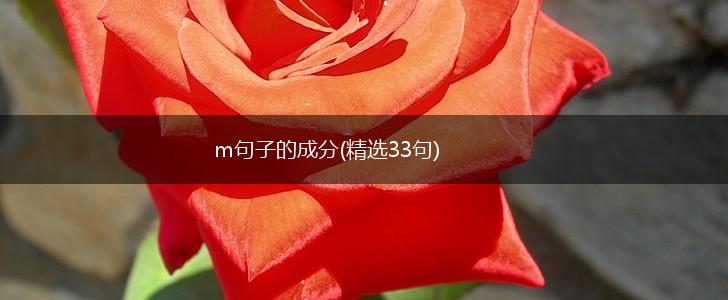 m句子的成分(精选33句),第1张