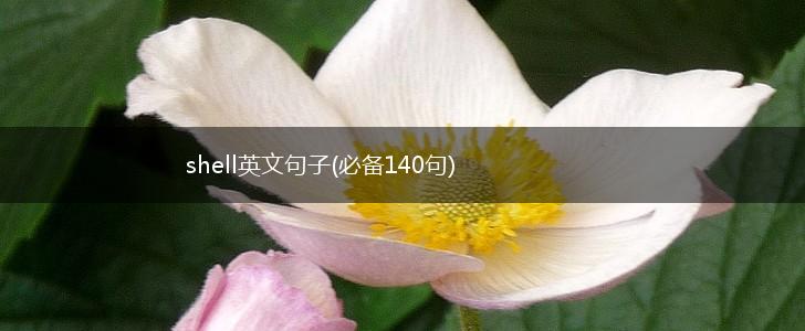 shell英文句子(必备140句),第1张