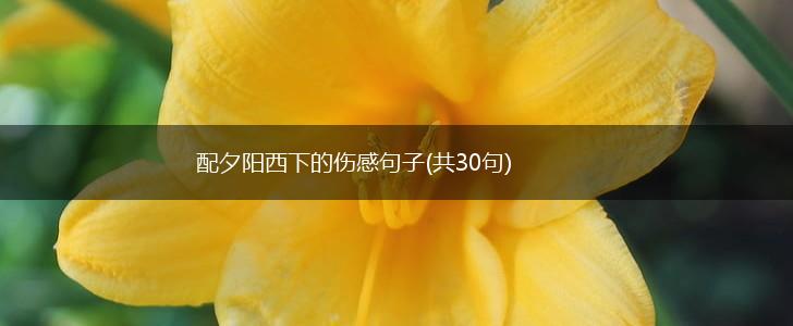 配夕阳西下的伤感句子(共30句),第1张