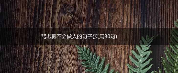 骂老板不会做人的句子(实用30句),第1张
