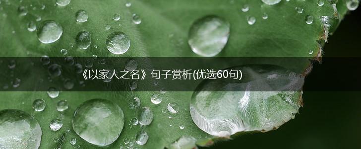 《以家人之名》句子赏析(优选60句),第1张