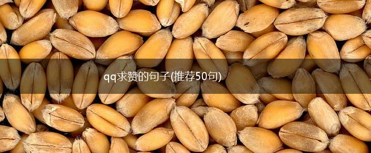 qq求赞的句子(推荐50句),第1张