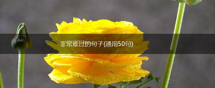 非常难过的句子(通用50句),第1张