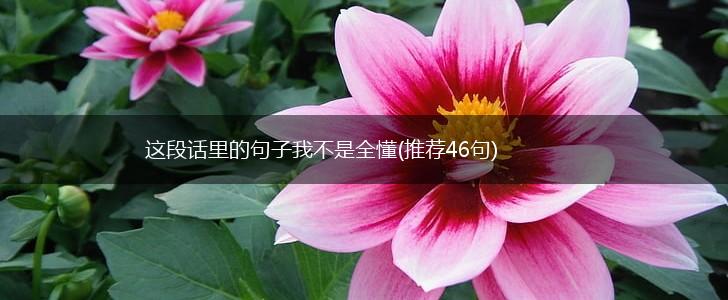 这段话里的句子我不是全懂(推荐46句),第1张