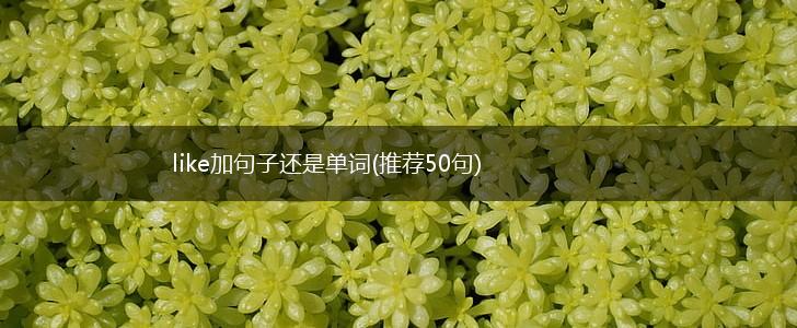 like加句子还是单词(推荐50句),第1张