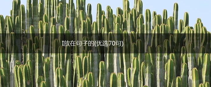 I放在句子的(优选70句),第1张