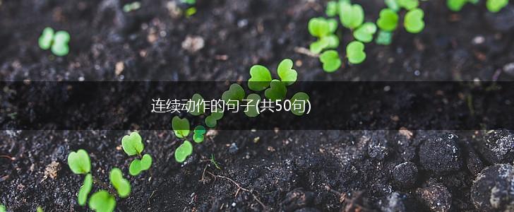 连续动作的句子(共50句),第1张
