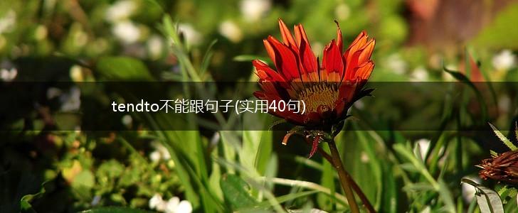 tendto不能跟句子(实用40句),第1张