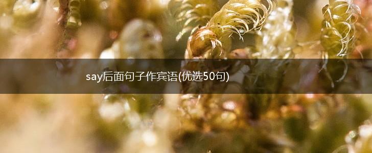 say后面句子作宾语(优选50句),第1张