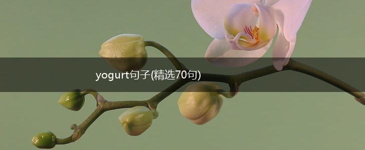 yogurt句子(精选70句),第1张