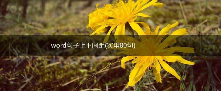 word句子上下间距(实用80句),第1张