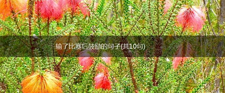 输了比赛后鼓励的句子(共10句),第1张