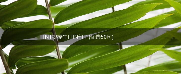 TNT祝福生日的句子(优选50句),第1张