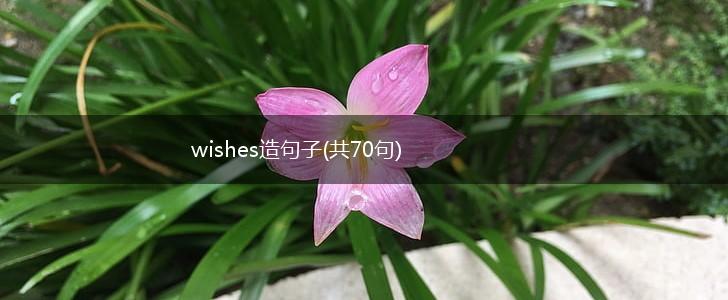 wishes造句子(共70句),第1张