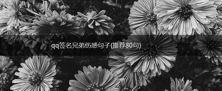 qq签名兄弟伤感句子(推荐80句),第1张