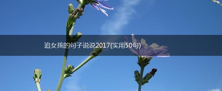 追女孩的句子说说2017(实用50句),第1张