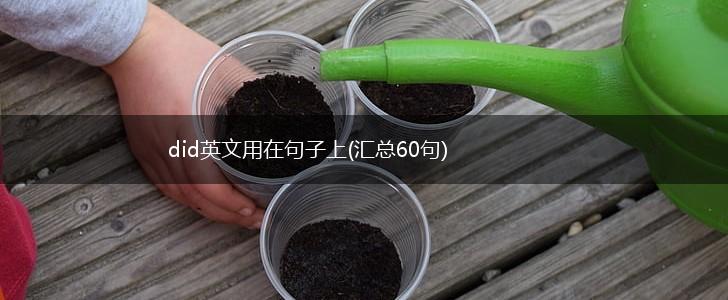 did英文用在句子上(汇总60句),第1张