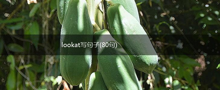 lookat写句子(80句),第1张