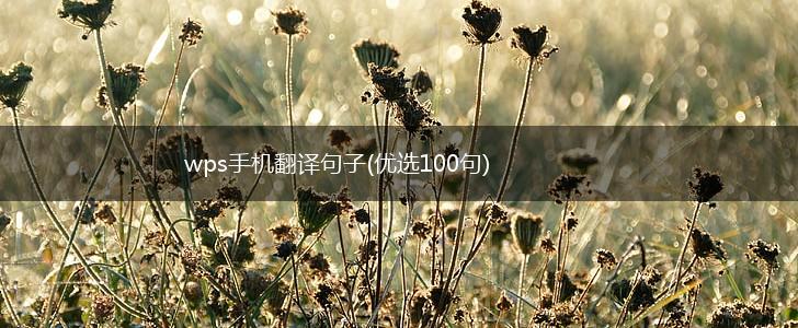 wps手机翻译句子(优选100句),第1张