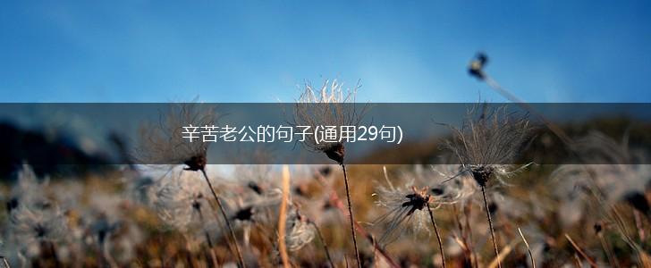 辛苦老公的句子(通用29句),第1张