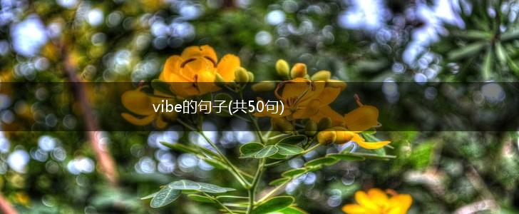 vibe的句子(共50句),第1张