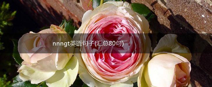 nnngt英语句子(汇总80句),第1张