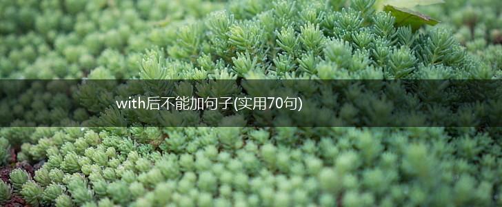 with后不能加句子(实用70句),第1张