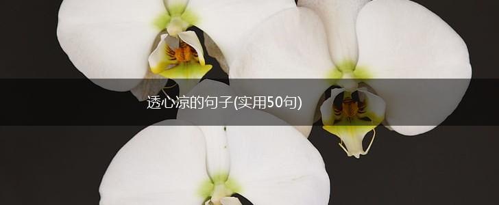 透心凉的句子(实用50句),第1张