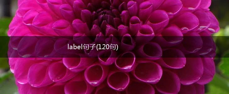 label句子(120句),第1张