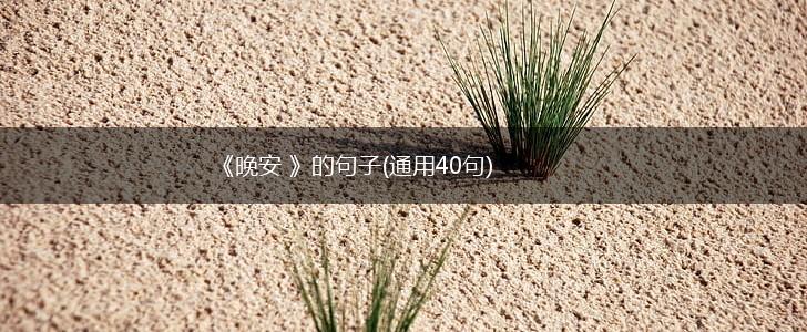 《晚安 》的句子(通用40句),第1张