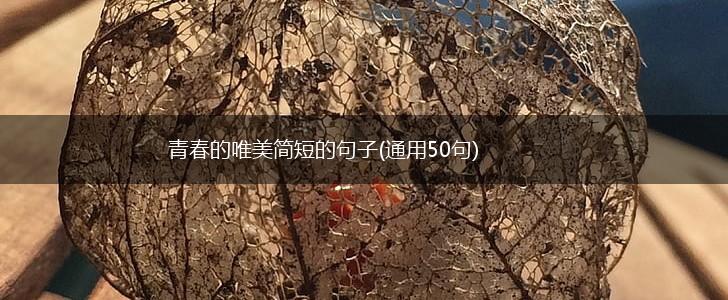 青春的唯美简短的句子(通用50句),第1张