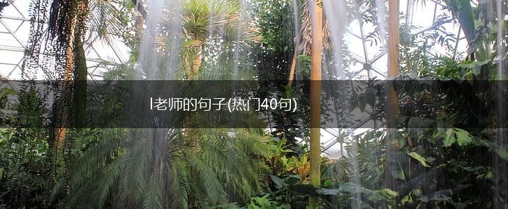 l老师的句子(热门40句),第1张
