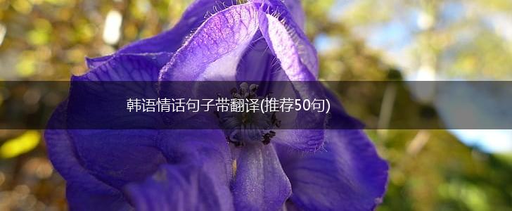 韩语情话句子带翻译(推荐50句),第1张