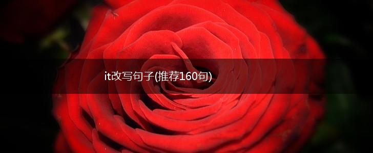 it改写句子(推荐160句),第1张
