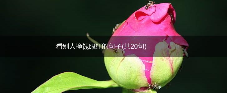 看别人挣钱眼红的句子(共20句),第1张