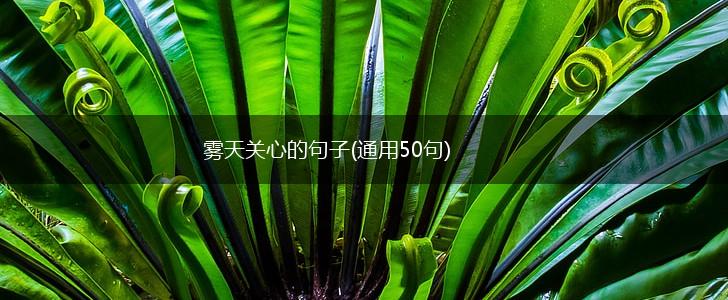 雾天关心的句子(通用50句),第1张